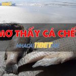 Nằm mơ thấy cá chết là hên hay xui? Nên đánh số mấy? ca-chet
