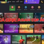 Cá Cược Asian Cup Ảo Là Gì? Cách Tính Tiền Cược Asian Cup Ảo Tại 11Bet cá cược Asian cúp ảo tại 11bet