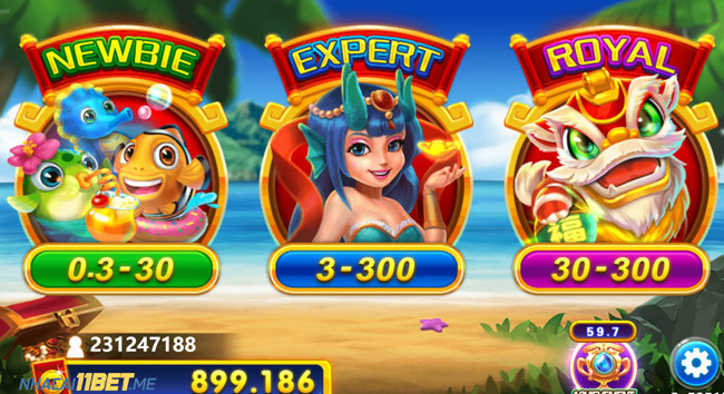 Các Loại Sảnh Và Chế Độ Thưởng Khi Chơi Fishing Yilufa Tại 11Bet
