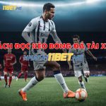 Hướng dẫn cách đọc kèo bóng đá tài xỉu tại 11Bet chính xác nhất Cách đọc kèo bóng đá tài xỉu
