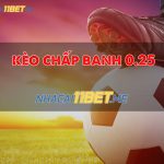 Kèo Chấp 0.25 Là Gì? Kinh Nghiệm Cá Cược Kèo Chấp 1/4 Chuẩn 2024 kèo chấp 0.25