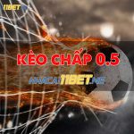 Kèo chấp 0.5 là gì? Cách chơi kèo chấp 1/2 tại 11Bet chuẩn kèo chấp 0.5
