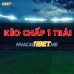 Kèo Chấp 1 Trái Là Gì? Cách Chơi Kèo 1 Trái Thắng Lớn Tại 11Bet kèo chấp tài xỉu 1 trái