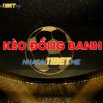 Kèo Đồng Banh Là Gì? Cách Chơi Kèo Chấp Đồng Banh Tại 11Bet Chuẩn kèo đồng banh