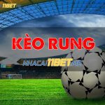 Kèo Rung Là Gì? Cách Chơi Các Loại Kèo Rung Tại 11Bet Chuẩn kèo rung