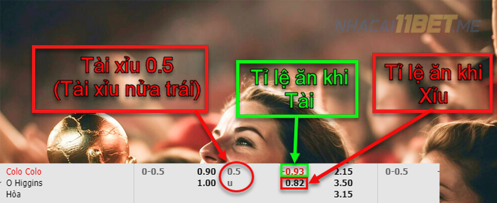 kèo tải xỉu nửa trái âm