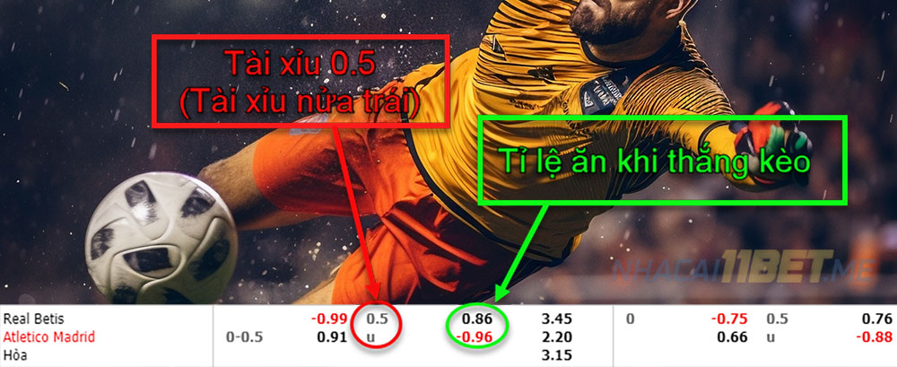 kèo tài xỉu nửa trái