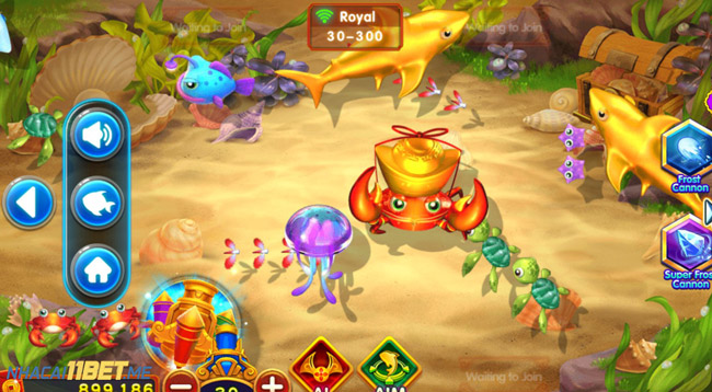 Lý Do Nên Chọn Chơi Fishing Yilufa Tại 11Bet