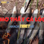 Nằm mơ thấy cá lóc là điềm báo gì? Con số liên quan mo-thay-ca-loc