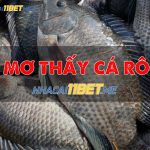 Mơ thấy cá rô là điềm báo lành hay dữ? Đánh con gì? mo-thay-ca-ro