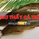 Nằm mơ thấy cá trê là điềm tốt hay xấu? Đánh số mấy trúng lớn? mo-thay-ca-tre