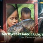 Nằm mơ thấy bắt được cá lóc to là điềm báo gì? Đánh con gì? nam-mo-thay-bat-duoc-ca-loc-to-la-diem-bao-gi-danh-con-gi