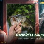 Nằm mơ thấy cá cắn tay là điềm báo gì? Đánh con gì chuẩn? nam-mo-thay-ca-can-tay-la-diem-bao-gi-danh-con-gi-chuan