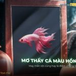Nằm mơ thấy cá màu hồng là điềm báo gì? Giải mã số đề chuẩn nam-mo-thay-ca-mau-hong-la-diem-bao-gi