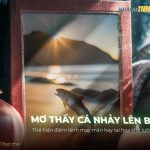 Nằm mơ thấy cá nhảy lên bờ là điềm báo gì & Con số đề chuẩn nam-mo-thay-ca-nhay-len-bo-la-diem-bao-gi