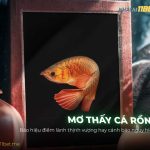 Nằm mơ thấy cá rồng là điềm báo gì? Giải mã điềm báo bất ngờ nam-mo-thay-ca-rong-la-diem-bao-gi-thumbnail