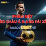 Cùng Tìm Hiểu Cách Phân Biệt Kèo Châu Á Và Kèo Tài Xỉu phân biệt kèo Châu Á và kèo Tài Xỉu