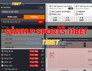 sảnh P sports 11Bet