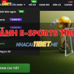 Hướng Dẫn Cách Chơi Sảnh E-sports 11Bet Mới Nhất 2024 sảnh e-sports 11bet