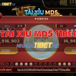 Hướng Dẫn Cách Chơi Tài Xỉu MD5 Mới Nhất 2024 Tại 11Bet: Thắng Lớn tài xỉu md5 11bet