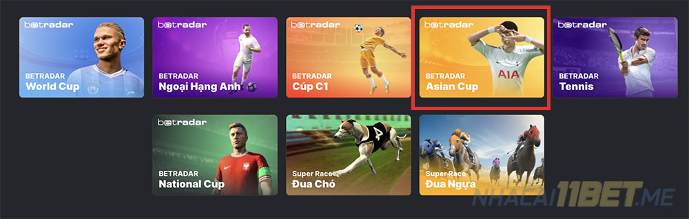 tham gia asian cúp ảo 11bet