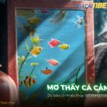 Nằm mơ thấy cá cảnh là điềm báo lành? Giải mã số đề chuẩn thumb-mo-thay-ca-canh