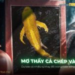 Nằm mơ thấy cá chép vàng là điềm báo gì & Con số tài lộc thumb-mo-thay-ca-chep-vang