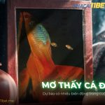 Nằm mơ thấy cá đẻ con là điềm báo gì? Giải mã số đề chuẩn thumb-mo-thay-ca-de