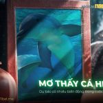 thumb-mo-thay-ca-heo