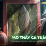 Nằm mơ thấy cá trắm là may hay xui? Đánh con gì? thumb-mo-thay-ca-tram