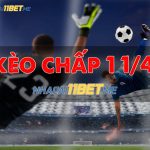 Kèo chấp 1 1/4 là gì? Cách chơi kèo chấp 1.25 tại 11Bet chính xác nhất Kèo chấp 1 1/4 là gì? Cách chơi kèo chấp 1.25 chính xác nhất