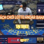 Chơi lotto Andar Bahar tại 11Bet - Hướng dẫn chi tiết cùng mẹo chuẩn Chơi Lotto Andar Bahar tại 11Bet thumbnail