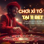 Hướng dẫn cách chơi Xì Tố 11 tại 11Bet đơn giản, hiệu quả! Hướng dẫn cách chơi Xì Tố 11 tại 11Bet đơn giản, hiệu quả!