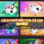 Chơi Bầu Cua Cá Cọp tại 11Bet - Cải biên trò chơi dân gian hấp dẫn! Chơi Bầu Cua Cá Cọp tại 11Bet - Cải biên trò chơi dân gian hấp dẫn!