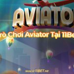 Khám phá trò chơi Aviator tại 11Bet kèm mẹo chơi nhanh thắng! Chơi aviatar tại 11bet