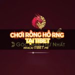 Hướng dẫn cách chơi Rồng Hổ RNG tại 11Bet - Bí kíp chiến thắng! Hướng dẫn cách chơi Rồng Hổ RNG tại 11Bet - Bí kíp chiến thắng!