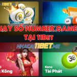 Hướng dẫn chơi quay số Number Game 11 tại 11Bet: Nhận thưởng khủng! Cách chơi Number Game 11 tại 11Bet - Trò chơi cá cược giải trí thú vị