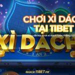Cách chơi xì dách tại 11Bet: Bí kíp thắng lớn vô cùng dễ dàng Cách chơi xì dách tại 11Bet: Bí kíp thắng lớn vô cùng dễ dàng