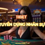 Cơ hội nghề nghiệp hấp dẫn: 11Bet tuyển dụng nhân sự - Ứng tuyển ngay 11Bet tuyển dụng nhân sự thumbnail