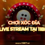 Cách chơi xóc đĩa livestream tại 11Bet - Trải nghiệm đỉnh cao! Cách chơi xóc đĩa livestream tại 11Bet