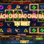 chơi Đảo châu báu tại V-Gaming 11Bet thumbnail
