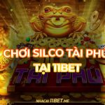 Cách chơi sicbo Tài Phú tại 11Bet: Hướng dẫn chuẩn và kinh nghiệm hay Cách chơi sicbo Tài Phú tại 11Bet