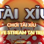 Cách chơi tài xỉu livestream tại 11Bet: Bí kíp thắng lớn hôm nay! Cách chơi tài xỉu livestream tại 11Bet