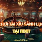 Cách chơi tài xỉu Sảnh Lục tại 11Bet: Trải nghiệm cá cược cực đỉnh! Cách chơi tài xỉu Sảnh Lục tại 11Bet: Trải nghiệm cá cược cực đỉnh!