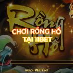 Chơi Rồng Hổ tại 11Bet: Hướng dẫn chi tiết cho người mới bắt đầu Chơi Rồng Hổ tại 11Bet: Bí quyết thắng lớn và kinh nghiệm từ cao thủ!