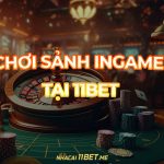 Hướng dẫn cách chơi sảnh Ingame tại 11Bet chính xác nhất 2024 Hướng dẫn cách chơi sảnh Ingame tại 11Bet chính xác nhất 2024