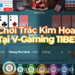Hướng dẫn chơi Trác Kim Hoa tại V-Gaming 11Bet - Bí quyết thắng lớn! Chơi Trác Kim Hoa tại V Gaming 11Bet