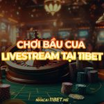 Cách chơi Bầu Cua Livestream tại 11Bet: Chơi nhanh, thắng lớn! Bầu Cua Livestream tại 11Bet